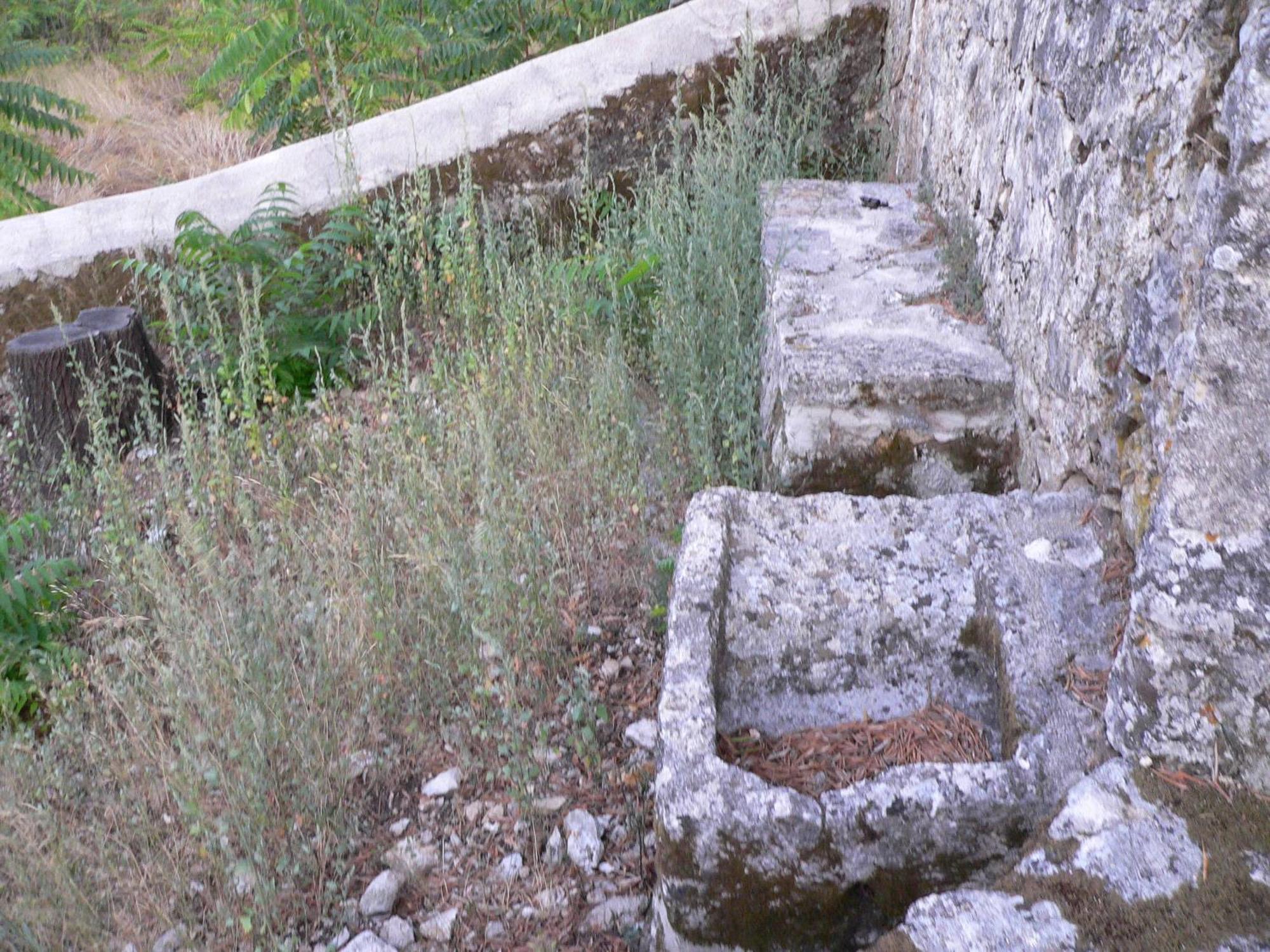 Evangelia أيّا إفيميا المظهر الخارجي الصورة